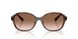 512013 - Tortoise - Brown Gradient