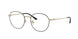 Ray-Ban 8778D Eyeglasses