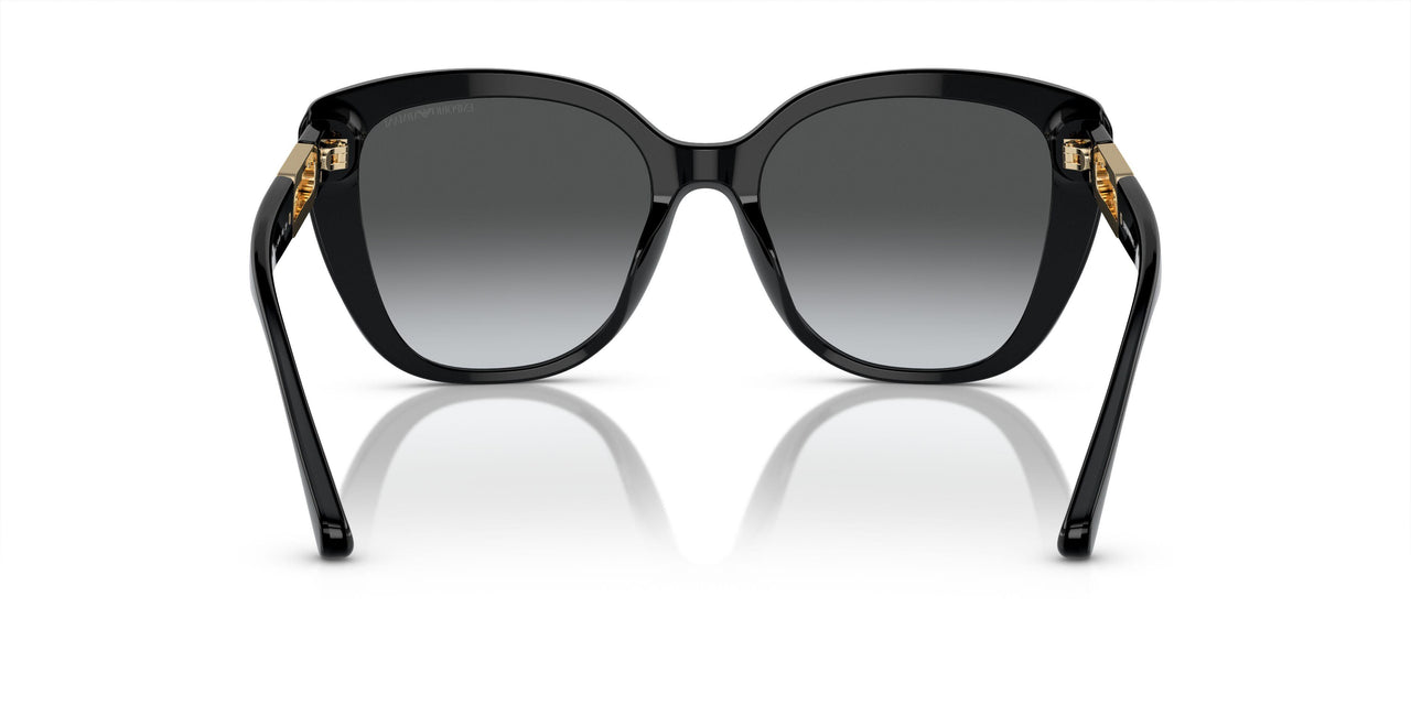 50178G - Black - Polar Grey Gradient