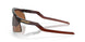 922902 - Brown - Prizm Tungsten