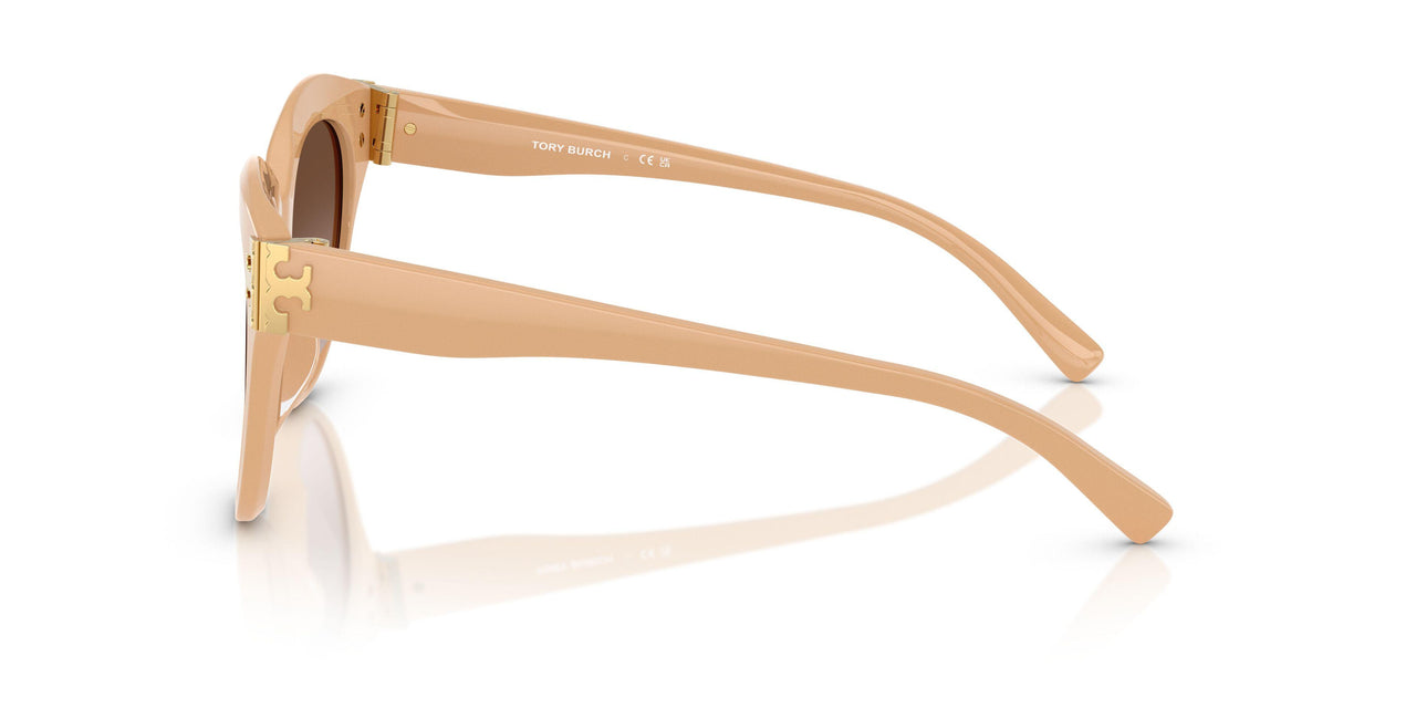 202013 - Pink - Brown Gradient