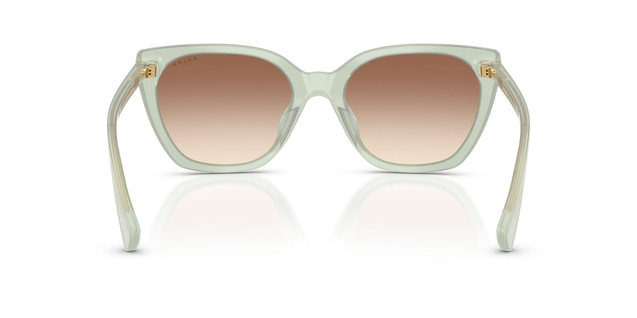 627813 - Green - Light Brown Gradient