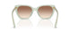 627813 - Green - Light Brown Gradient