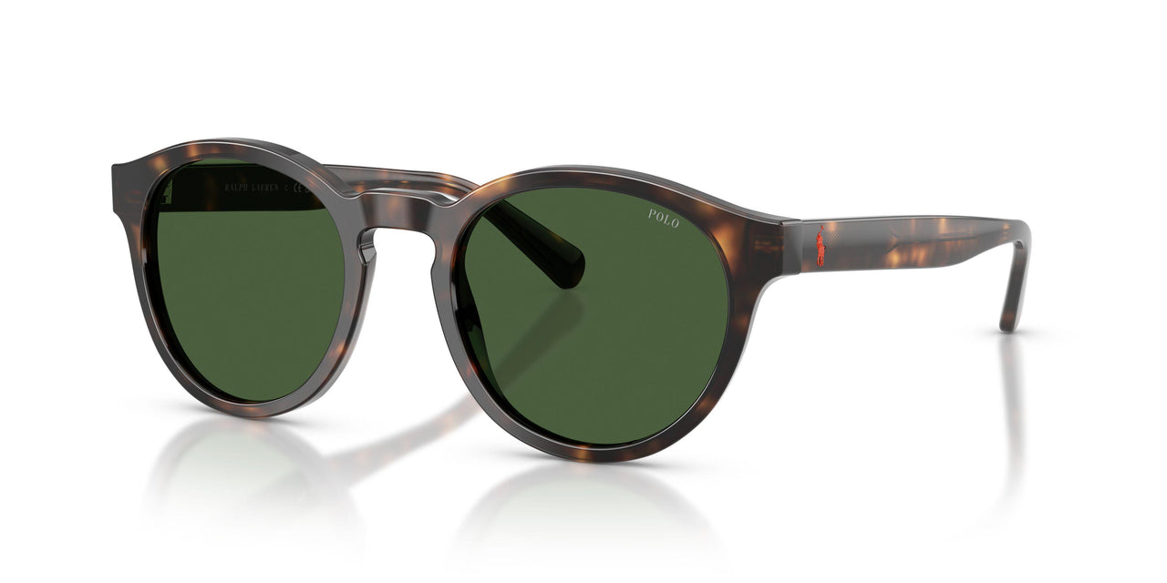 500371 - Tortoise - Bottle Green