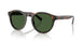 500371 - Tortoise - Bottle Green