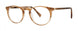 Seraphin WEBBER Eyeglasses