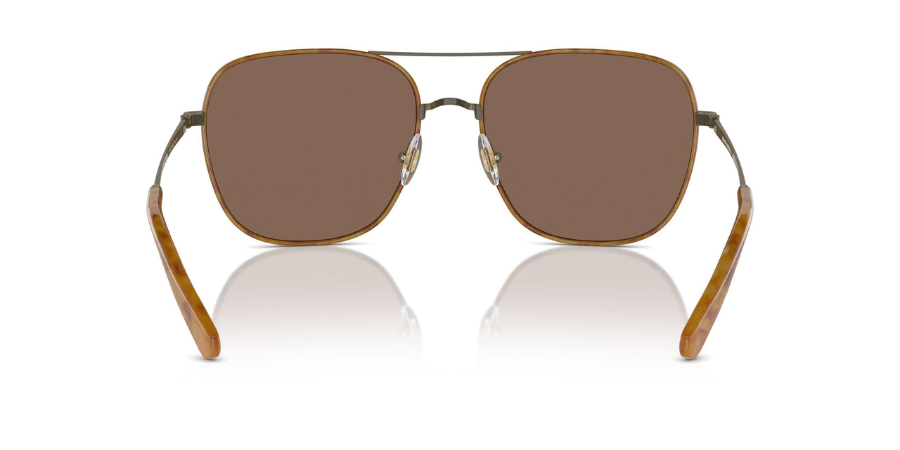 103873 - Gold - Dark Brown