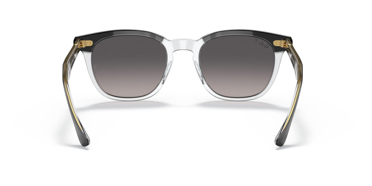 1294M3 - Black - Grey Gradient Polar