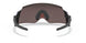 945502 - Black - Prizm 24k