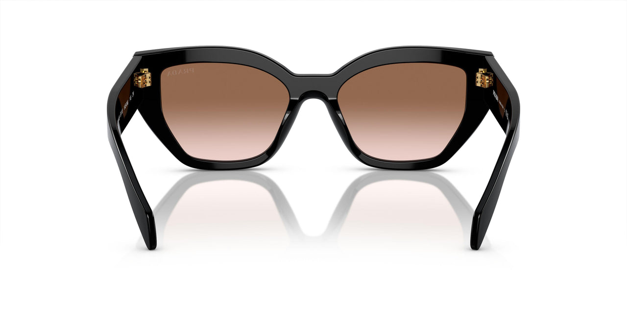 1AB0A6 - Black - Brown Gradient