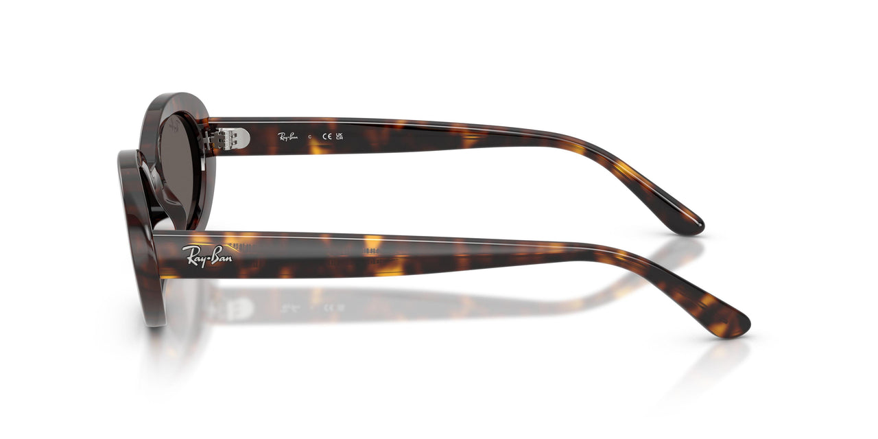 902/B1 - Tortoise - Dark Grey