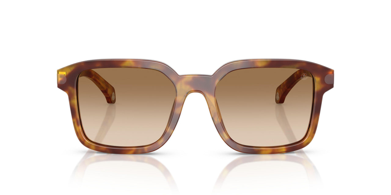 301189 - Tortoise - Light Brown Gradient Brown