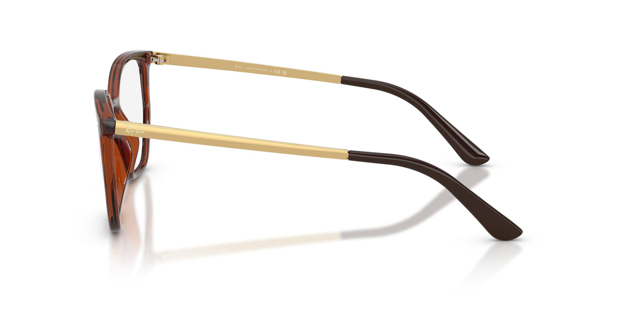 2012 - Brown - Clear
