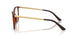2012 - Brown - Clear
