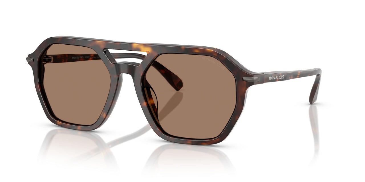 300673 - Tortoise - Brown Solid
