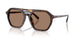 300673 - Tortoise - Brown Solid
