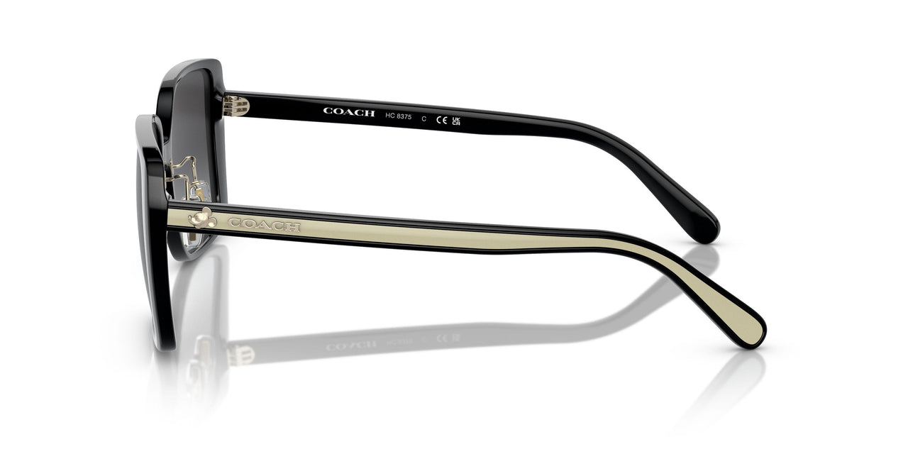 50028G - Black - Grey Gradient