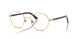 Polo 1248 Eyeglasses