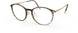 6031 - brown