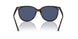 710/80 - Tortoise - Dark Blue