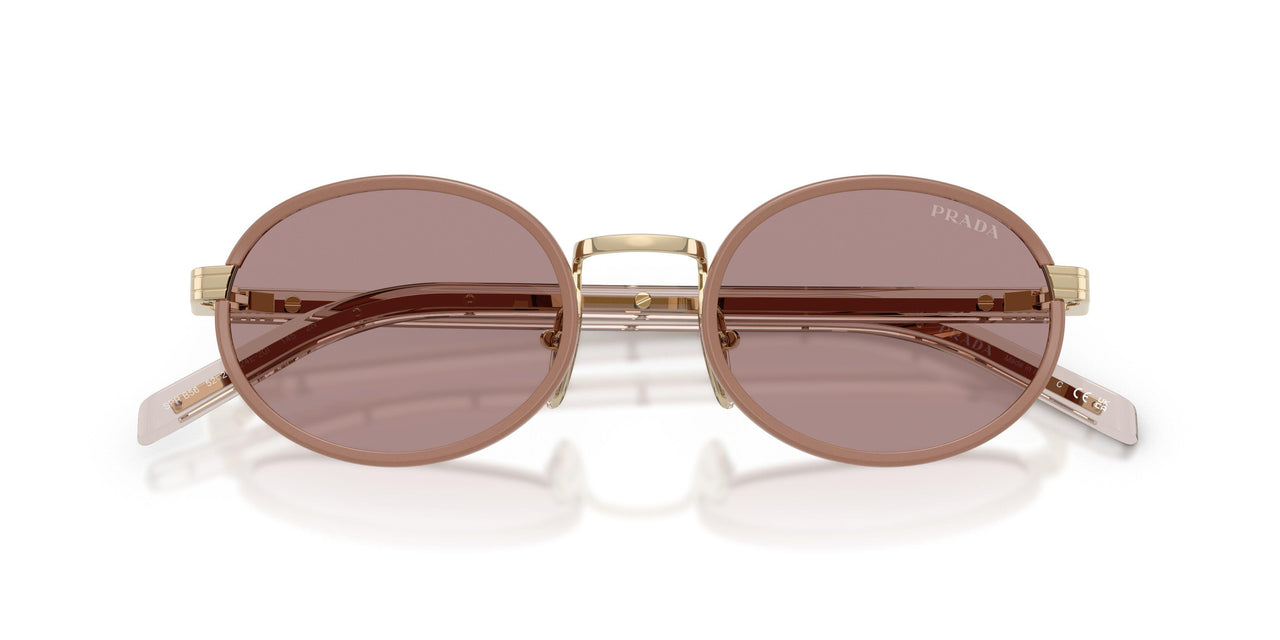 24E20I - Brown - Light Purple Brown