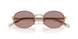 24E20I - Brown - Light Purple Brown