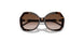 502613 - Tortoise - Gradient Brown