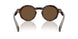 300273 - Tortoise - Solid Brown