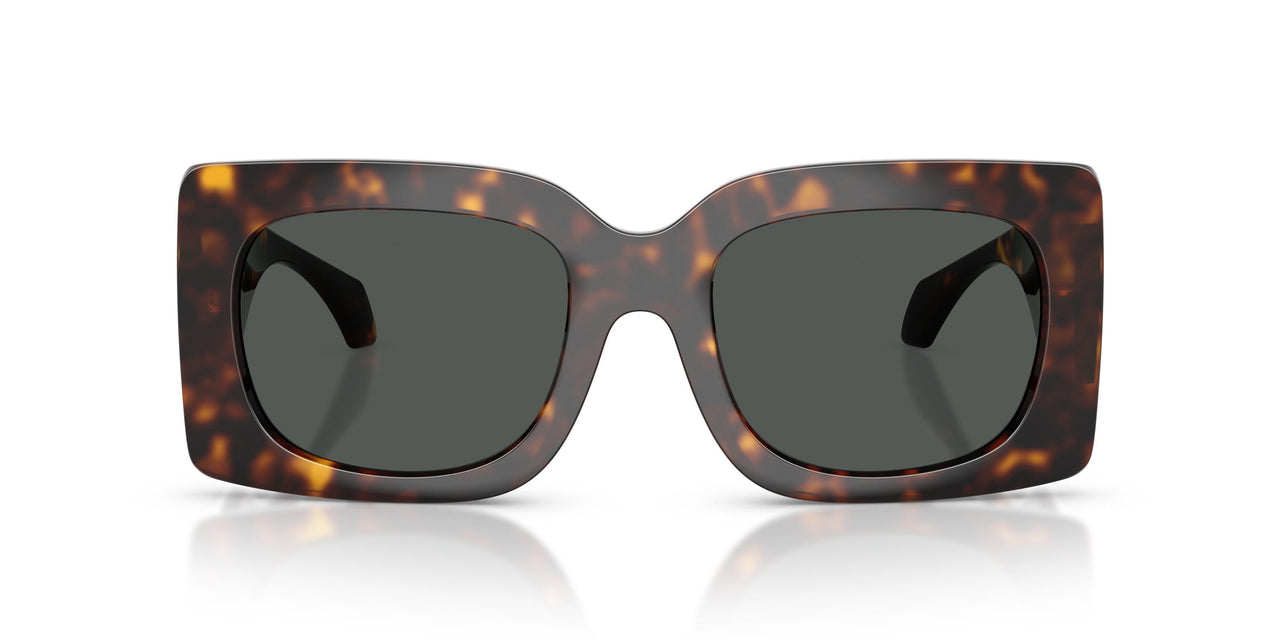 108/87 - Tortoise - Dark Grey