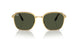 001/31 - Gold - Green
