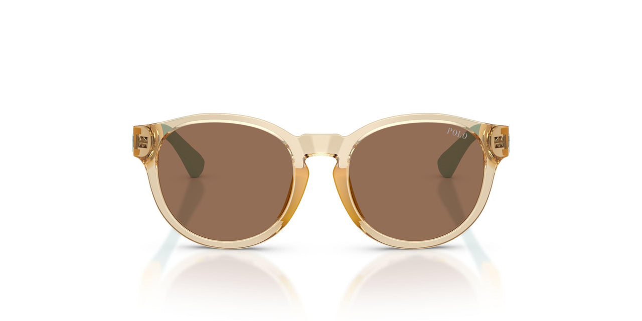 575673 - Yellow - Dark Brown