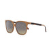 57F - Shiny Transparent Khaki - Gradient Brown