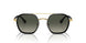 109771 - Black - Gradient Grey
