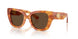 Burberry 4503 Sunglasses