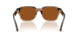 420773 - Beige - Dark Brown