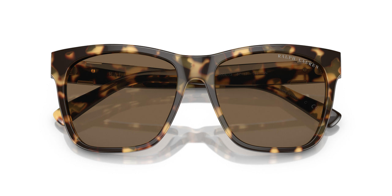 500473 - Tortoise - Brown