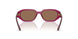 327173 - Red - Dark Brown