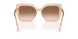 106313 - Brown - Gradient Brown