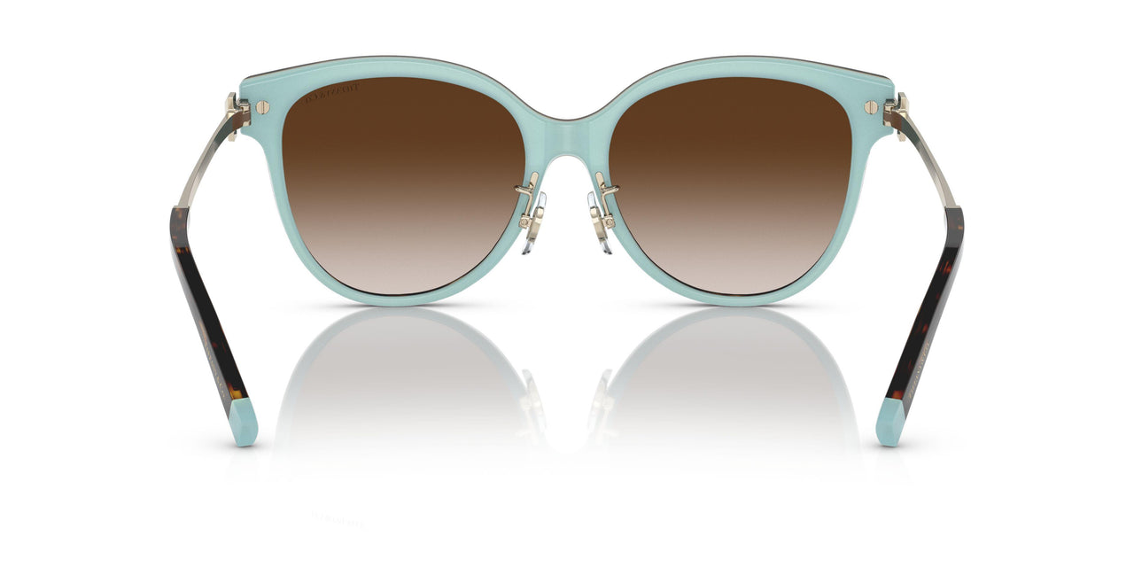 81343B - Havana - Brown Gradient