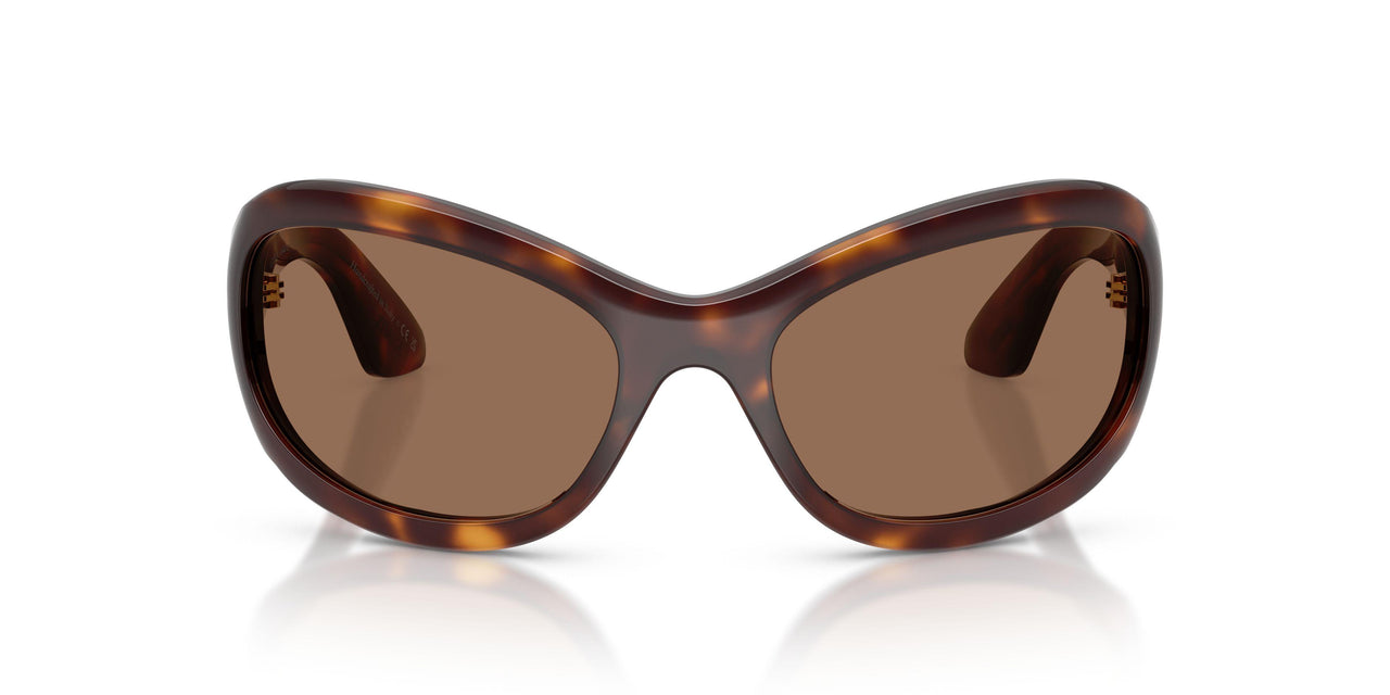 100773 - Tortoise - Brown
