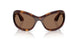 100773 - Tortoise - Brown
