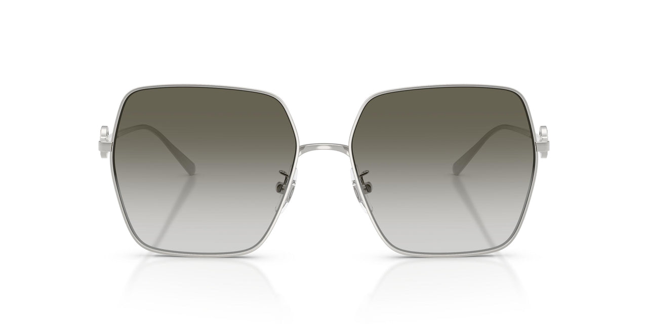 32742A - Silver - Green Grey