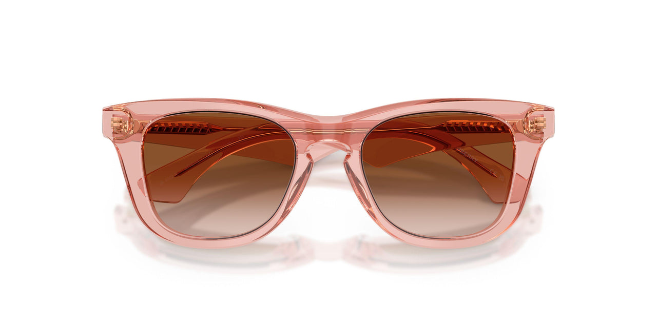 421413 - Pink - Brown Gradient