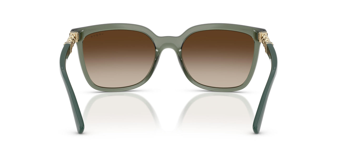 308613 - Green - Gradient Brown