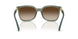 308613 - Green - Gradient Brown