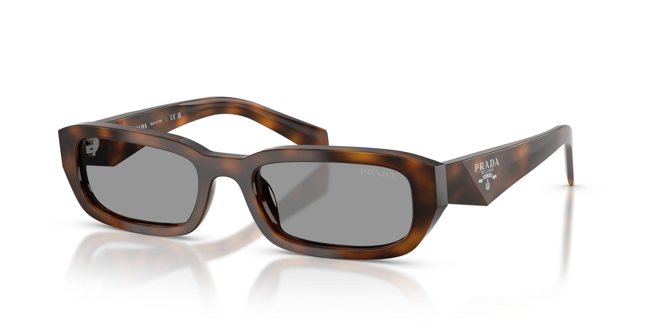 20D50Q - Havana - Grey