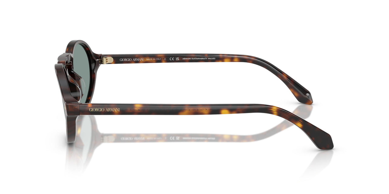 587956 - Tortoise - Grey