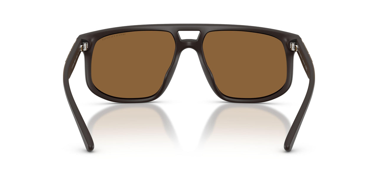 839173 - Brown - Brown