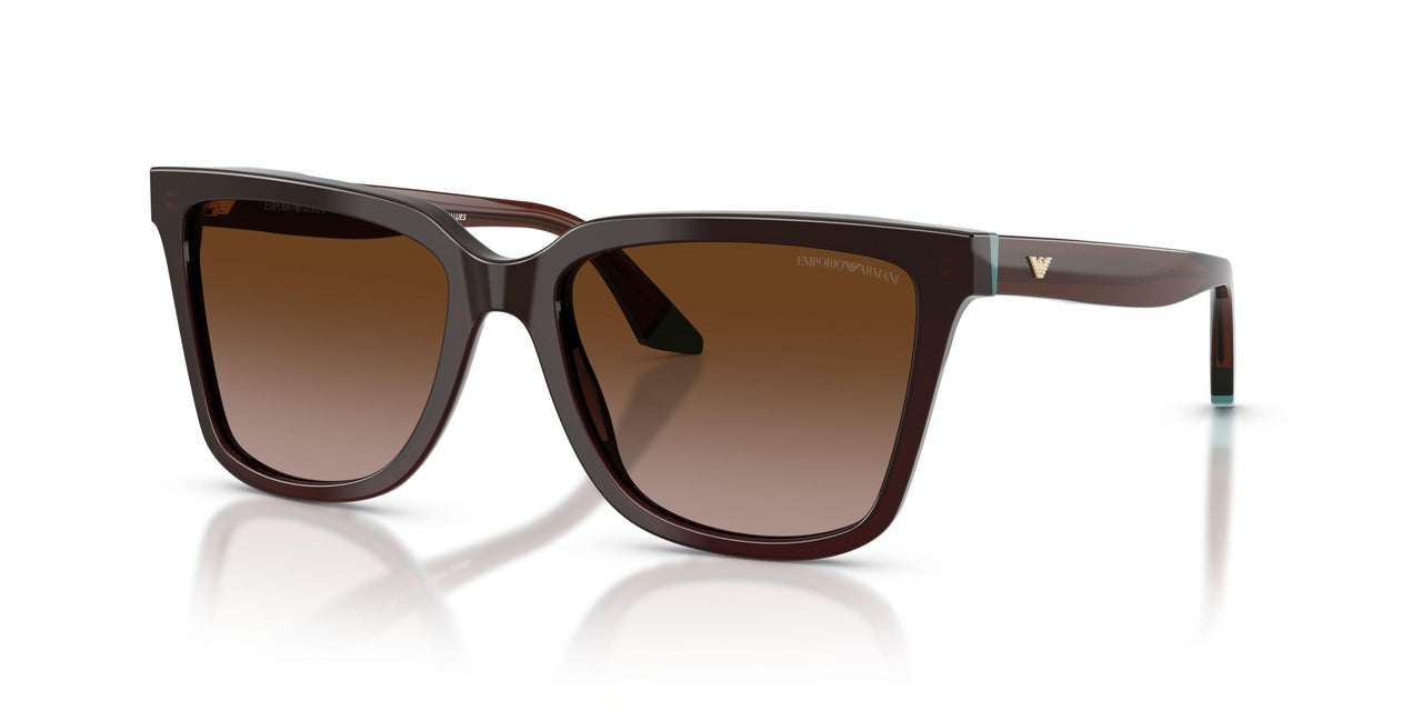 631813 - Brown - Brown Gradient