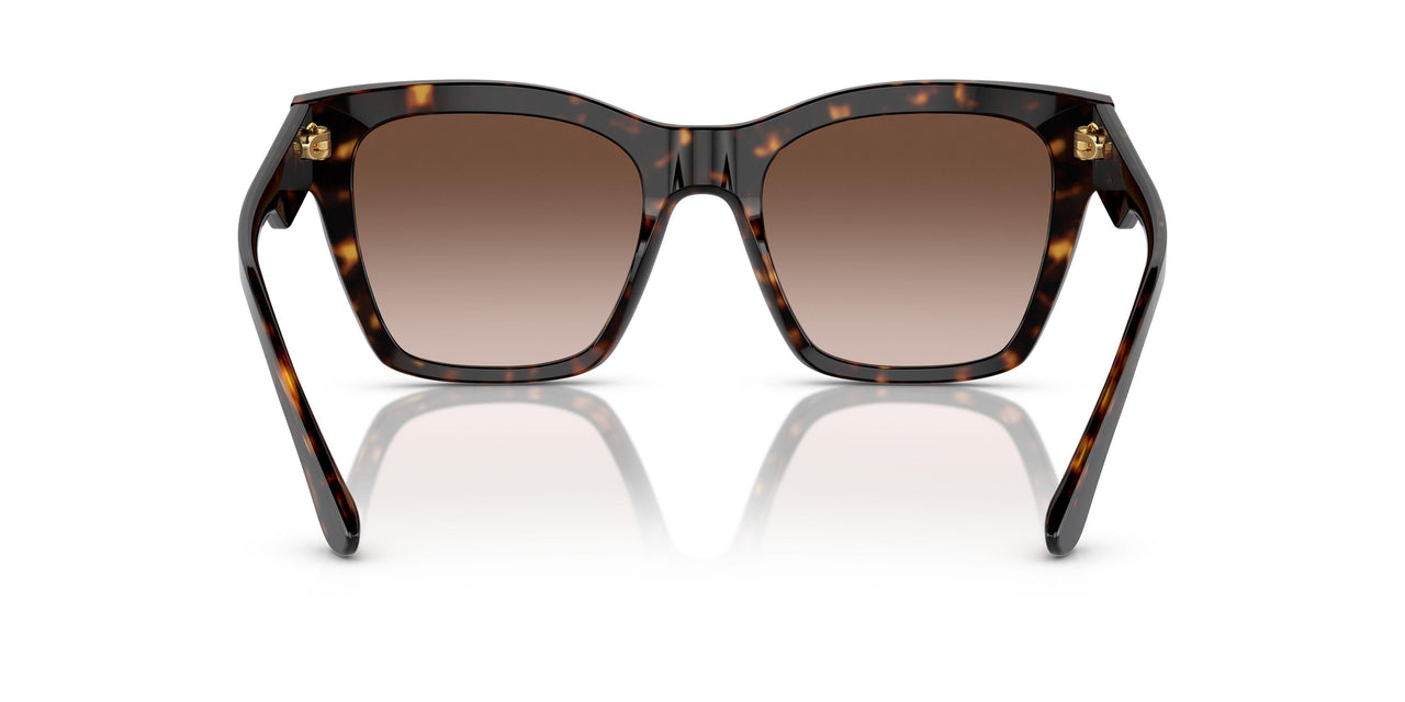 502/13 - Havana - Gradient Brown